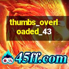 overloaded_43